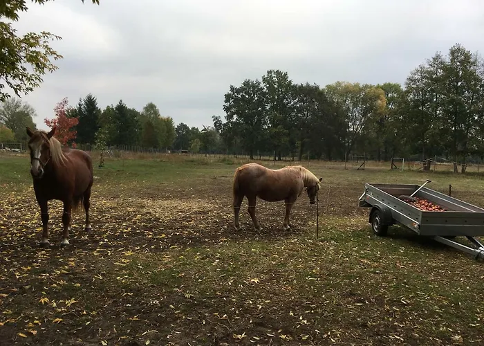 Storchenblick شقة Straupitz